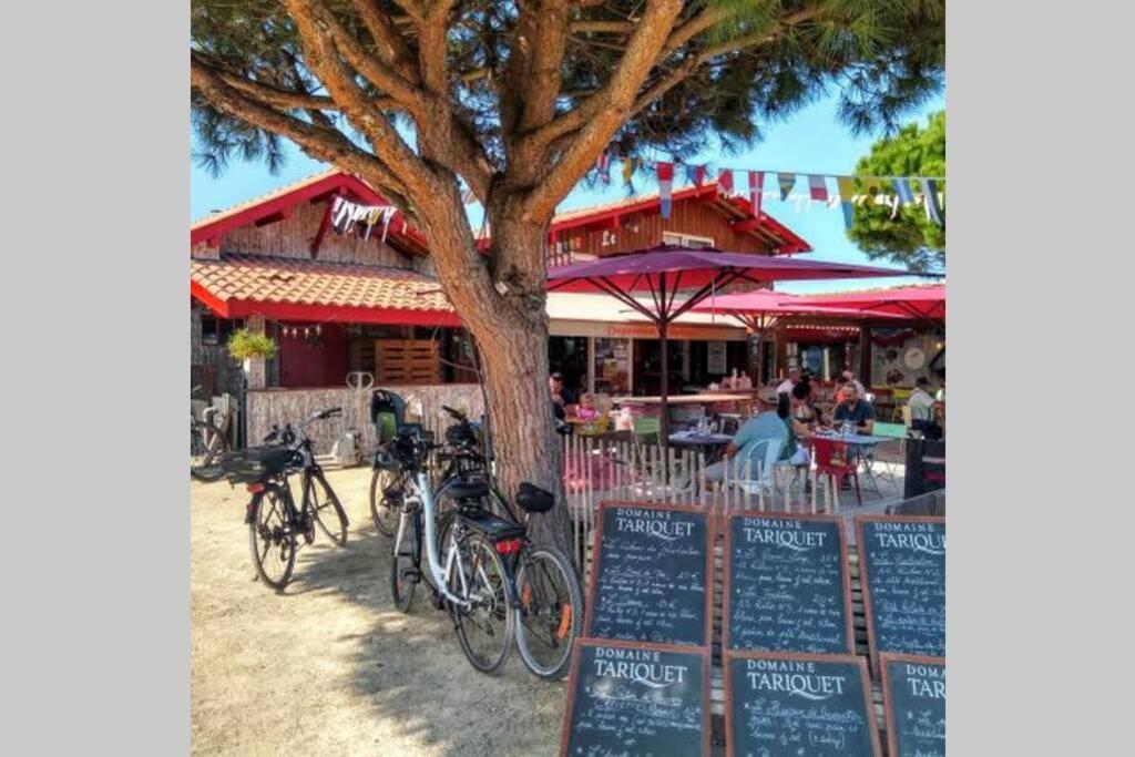 Colibri Appart' T2 Au Coeur Du Bassin D'Arcachon Gujan-Mestras Kültér fotó